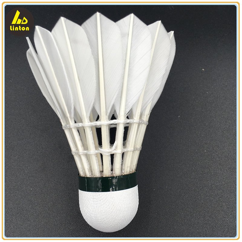 Chinese factory best sale in Korea goose feather with lowest price badminton shuttlecock