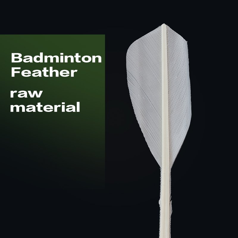 OEM High Cost-Effective Half Duck Feather Badminton Shuttlecocks Durable Training Equipment with PU Cork Head Class a Model