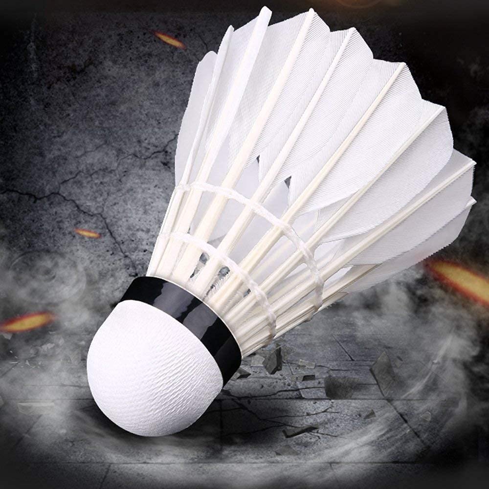Innovation Promotion Products Badminton Shuttlecock Sports Equipment Sports and Game Feather Shuttle Cock