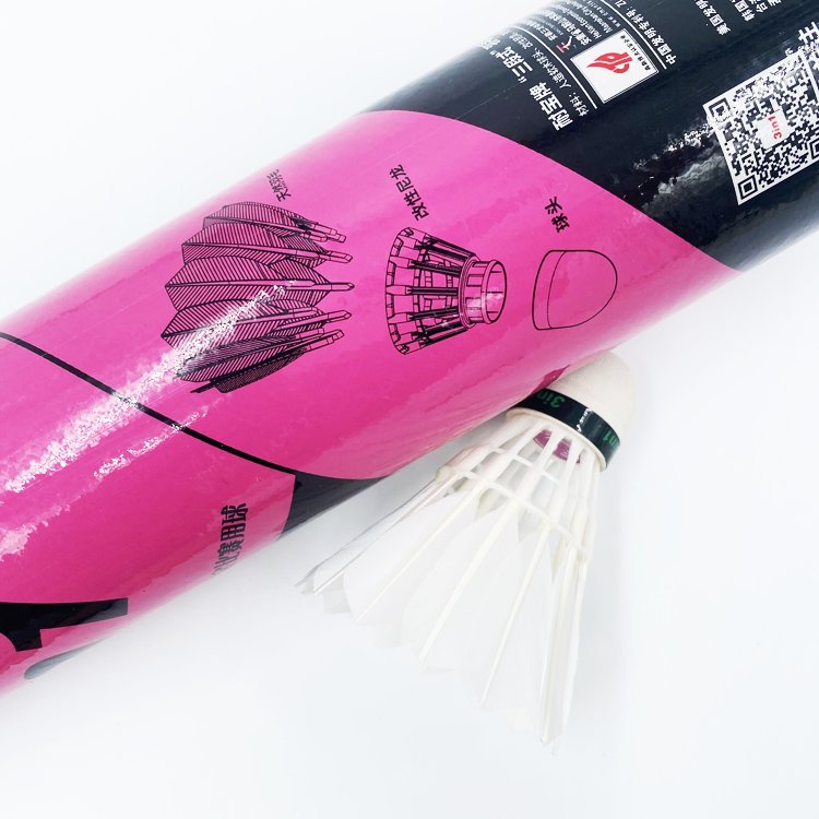 Factory hot-Selling Durable for training Fast Speed Anyball Goose Feather Shuttlecock Badminton