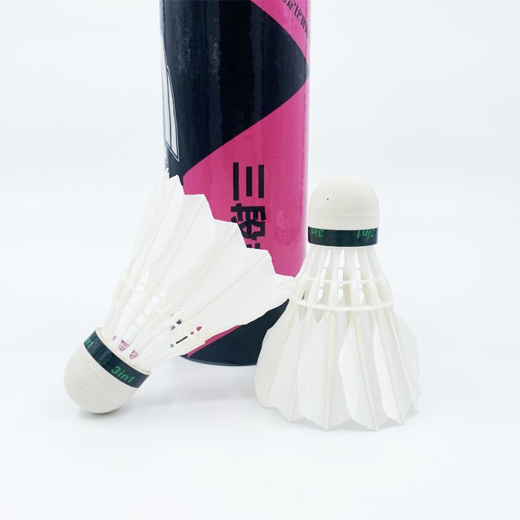 Factory hot-Selling Durable for training Fast Speed Anyball Goose Feather Shuttlecock Badminton