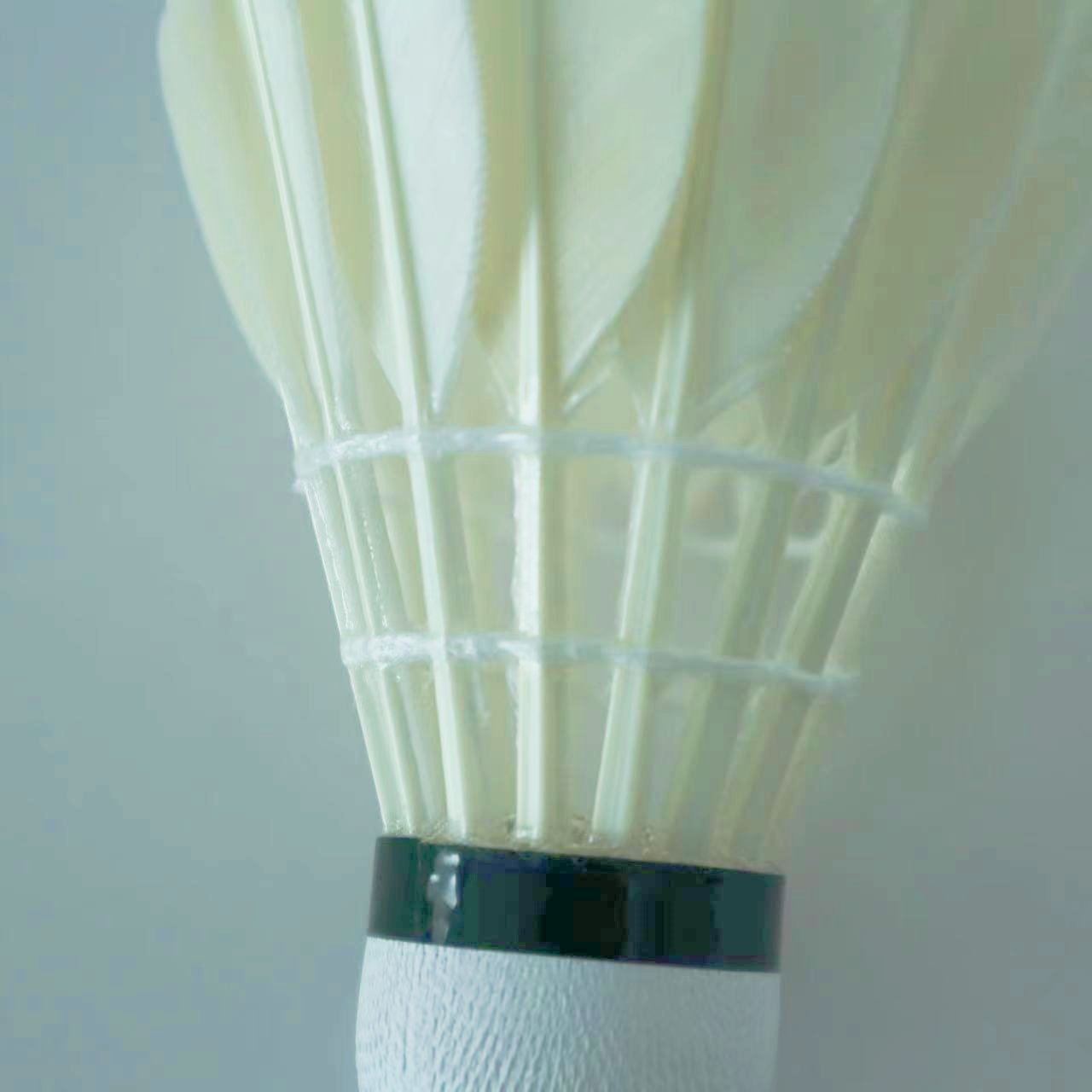 durability all round class C goose feathers with pu cork badminton shuttlecock for professional training