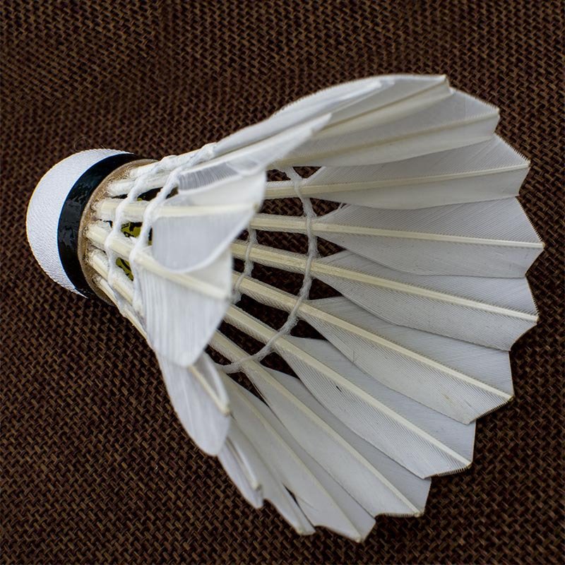 Wholesale Cheap High Durability Professional Players Tournament Grad Goose Feather Shuttlecock Badminton