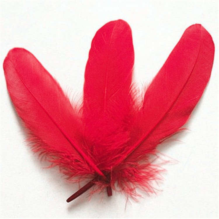 Wholesale Natural Dyed Bulk Goose Feather For Shuttlecock