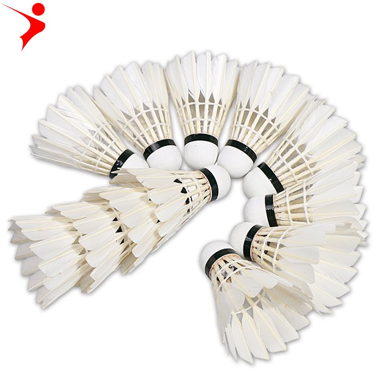 Professional customized training badminton shuttlecock durable badminton goose feather match badminton birdie