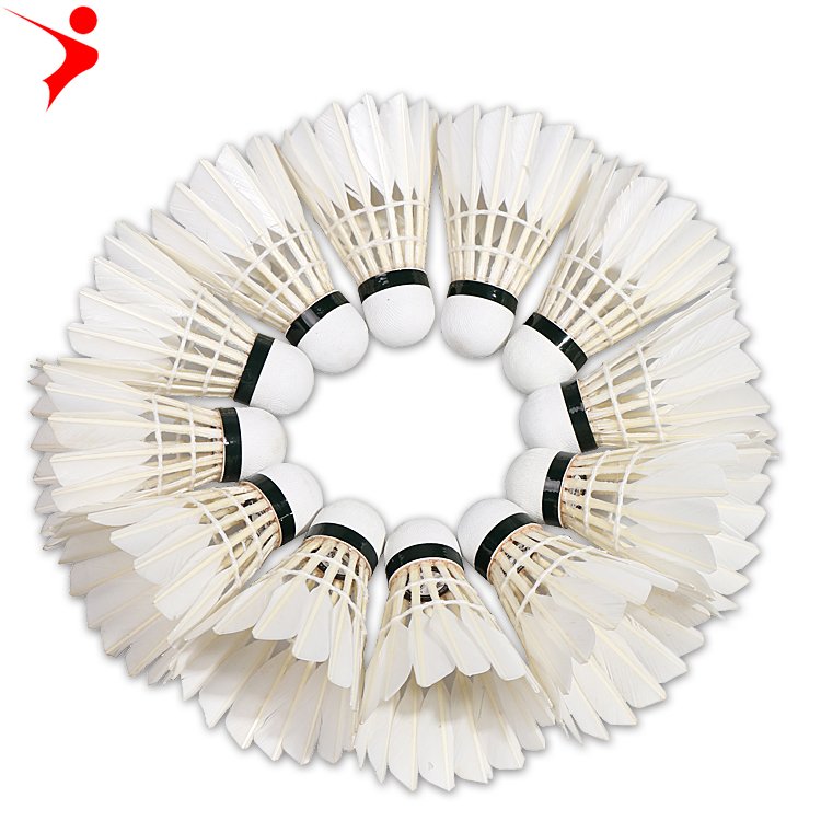 Professional customized training badminton shuttlecock durable badminton goose feather match badminton birdie
