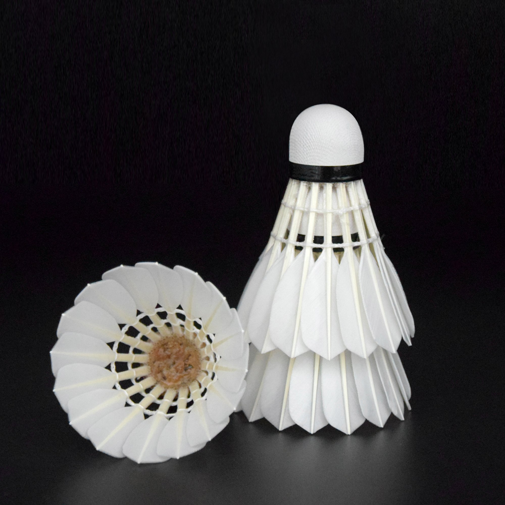 Anhui Grade a Level Badminton Shuttlecock High Quality Class a Goose Feather Super Durability Cork Head Tournament Usage