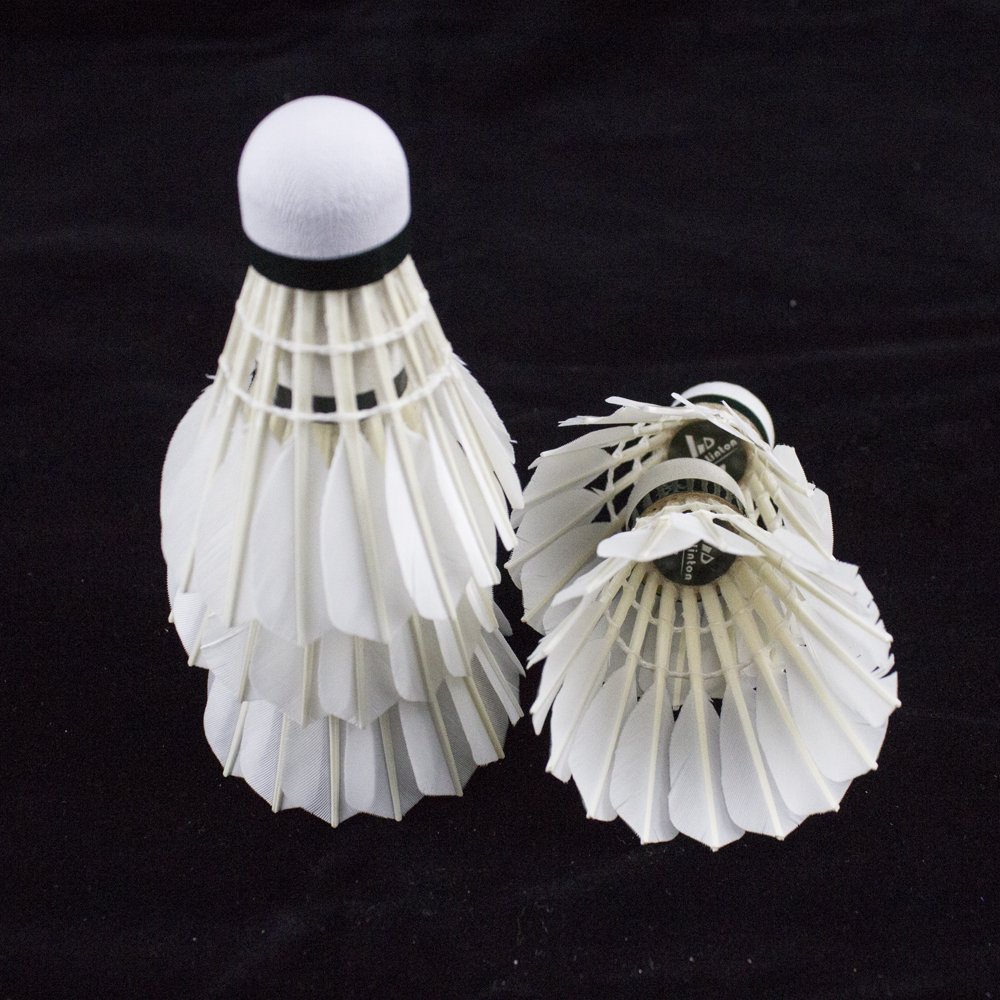 Hot selling sports goods goose feather shuttlecock badminton for training