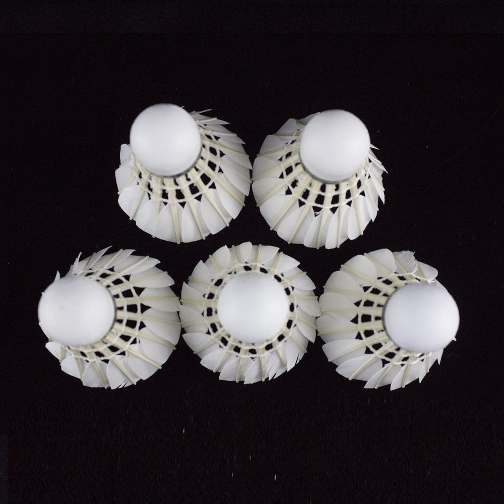 Hot selling sports goods goose feather shuttlecock badminton for training