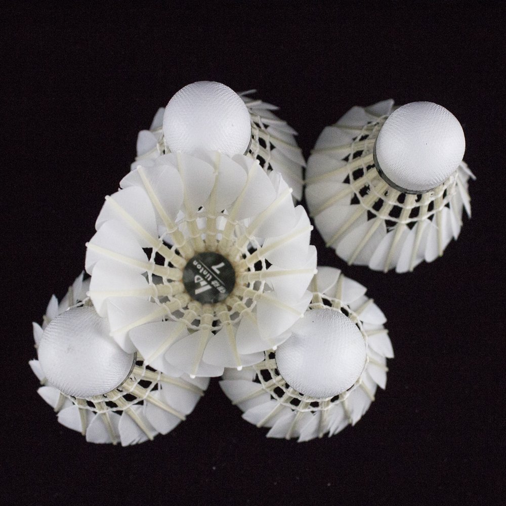 Hot selling sports goods goose feather shuttlecock badminton for training