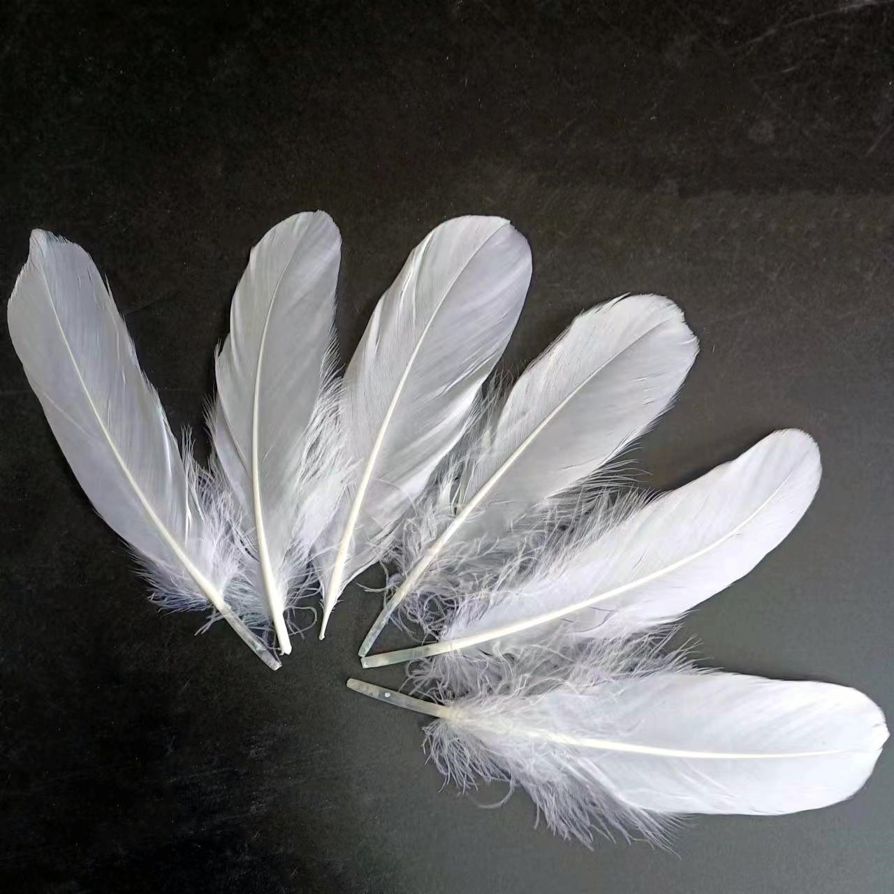 Wholesale Feather White Goose feathers 15-20cm 6-8 inch for angel wing badminton shuttlecock cloth decoration