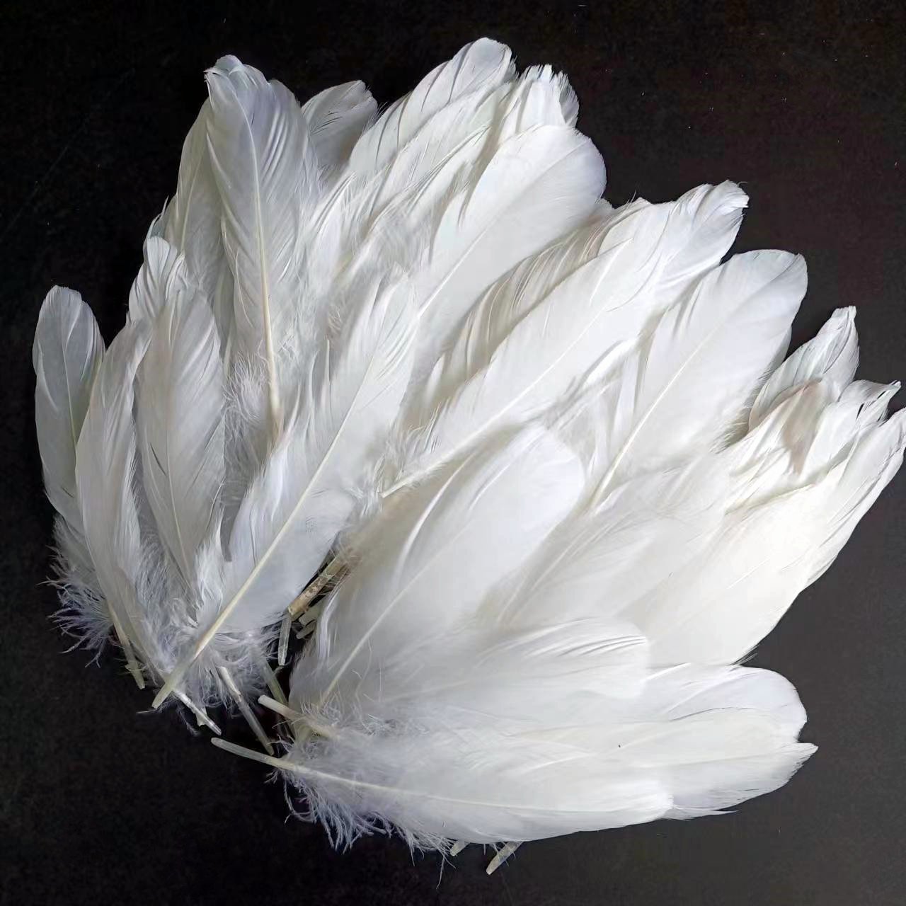 Wholesale Feather White Goose feathers 15-20cm 6-8 inch for angel wing badminton shuttlecock cloth decoration