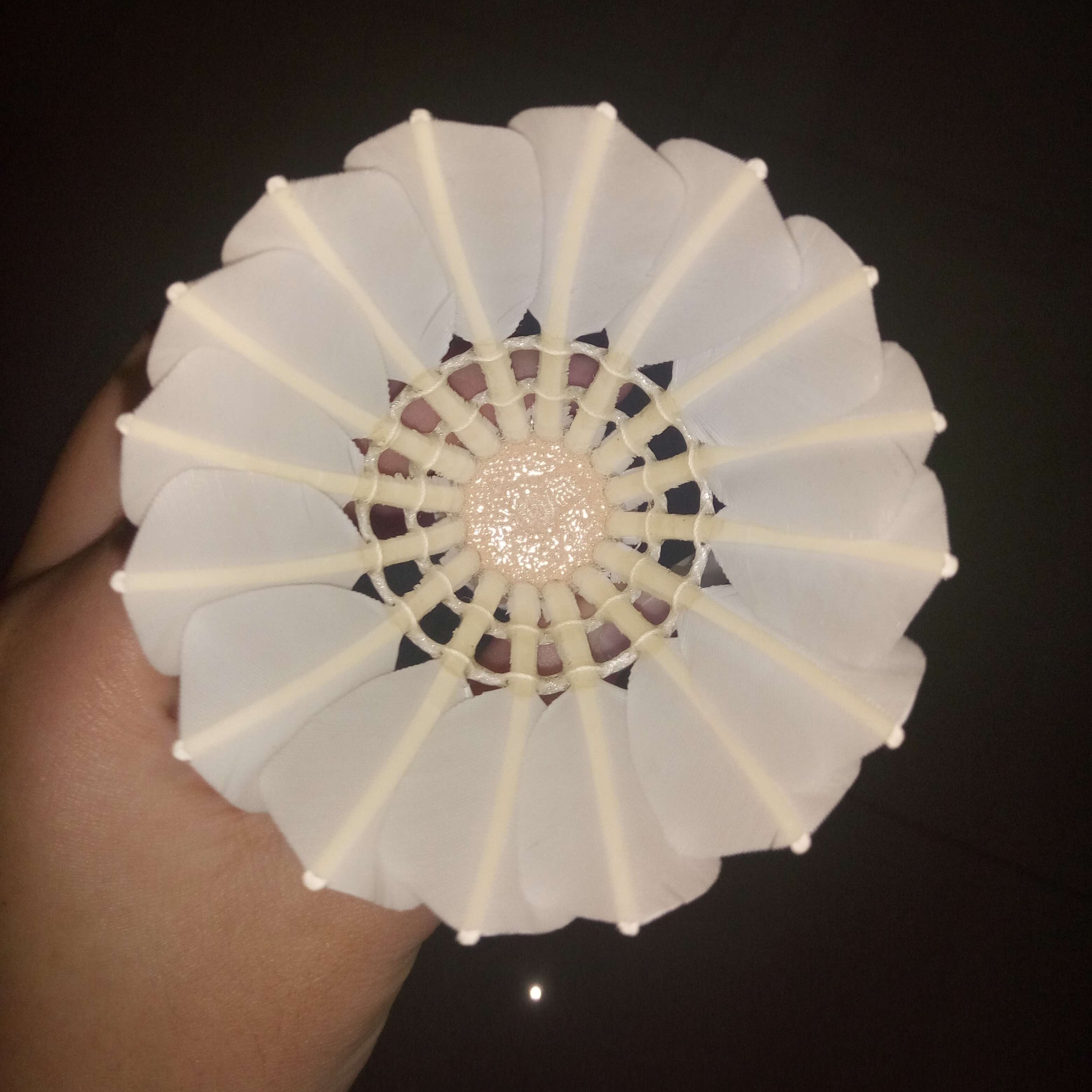 Hot Selling Top Quality Badminton Shuttlecock Goose Feather China ManufactureWholessale Shuttlecock Badminton