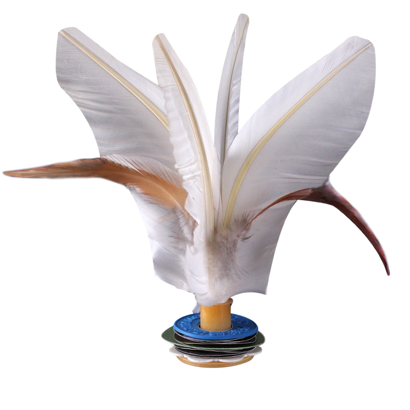 Kick Feather Shuttlecocks Big Size 22CM Original China Jianzi Shuttlecock Customized Kick Shuttlecock