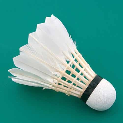 Manufacture of Badminton Shuttlecock 2020 New Arrival 6pcs Set Super Durable 5g White OEM Head Feather Training EVA Time Lead