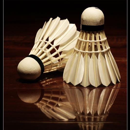 nature cork sport balls badminton wrist ball goose feather