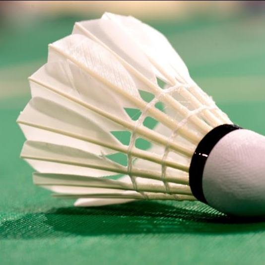 nature cork sport balls badminton wrist ball goose feather