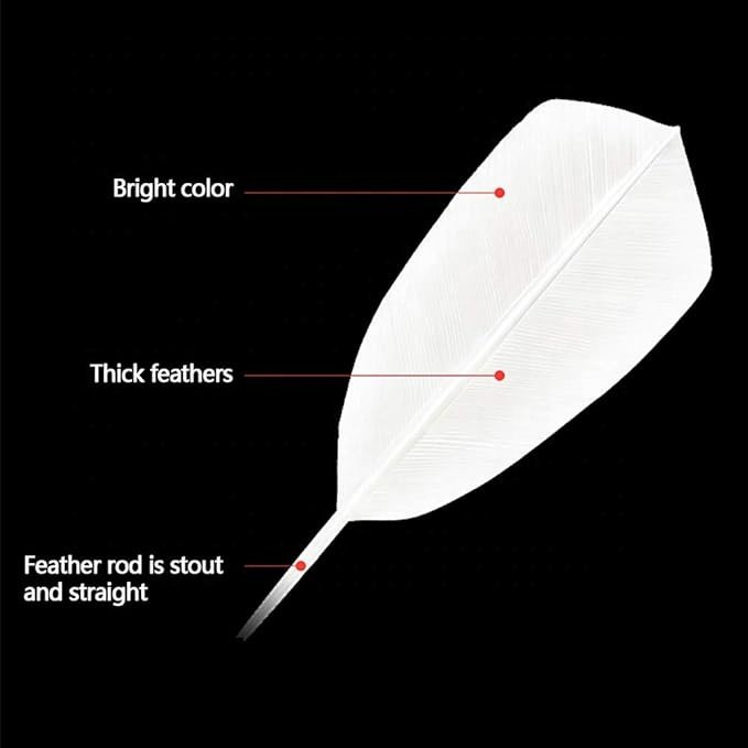 Wholesale High Quality Badmintonball Shuttlecock Goose Feather Training Shuttlecock Goose Straighten Badminton Shuttle