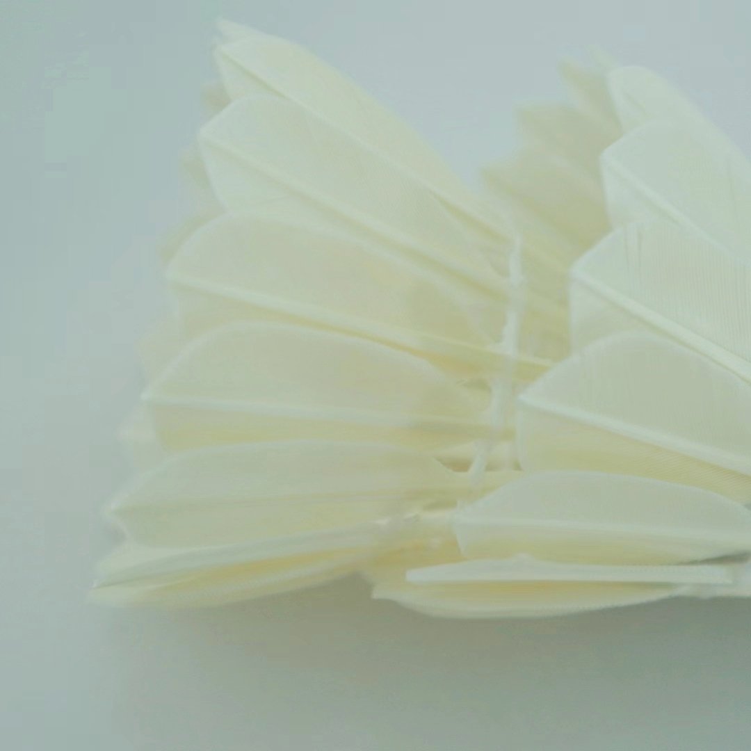 Factory supply Class C all round Goose feathers badminton shuttlecock