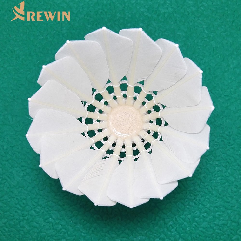Most Popular Durable Goose Feather Shuttlecock in Korea