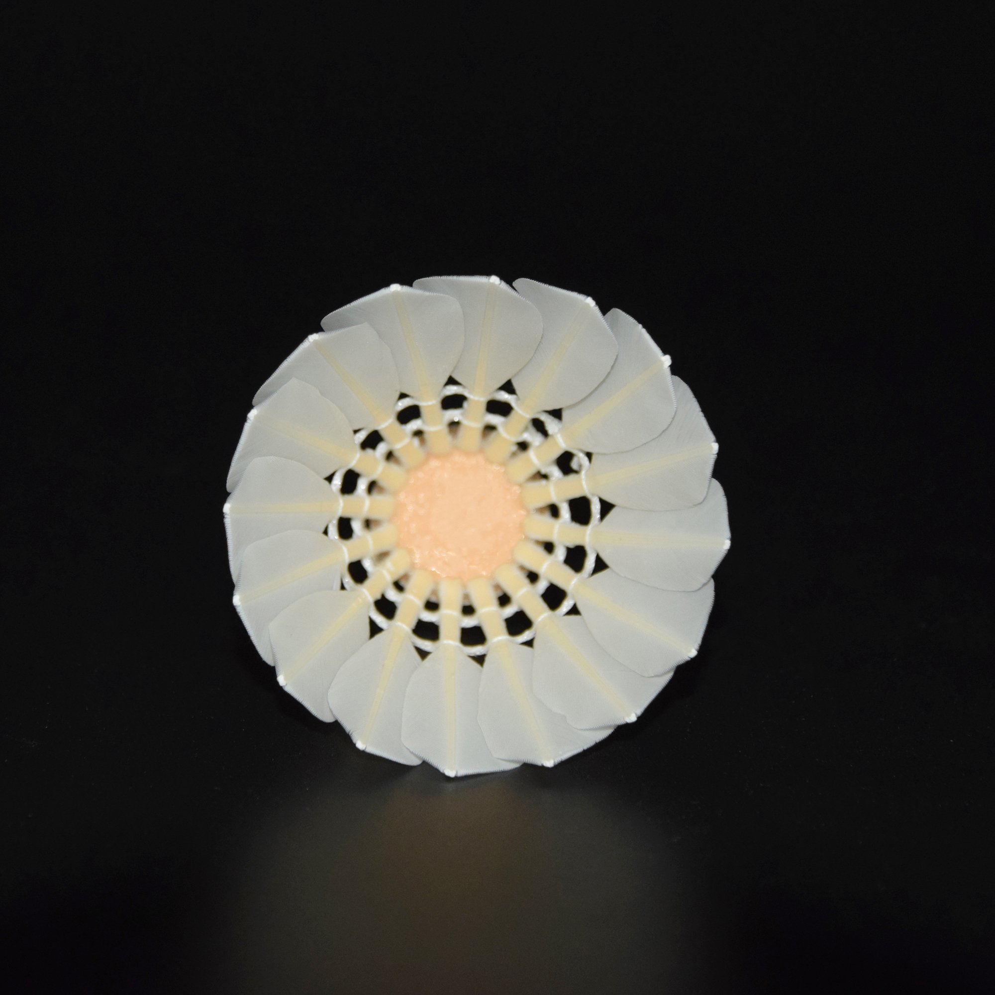 Hot Sell Professional Competition Durable Training Badminton Shuttlecock Great Stability Shuttlecock