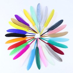multicolor