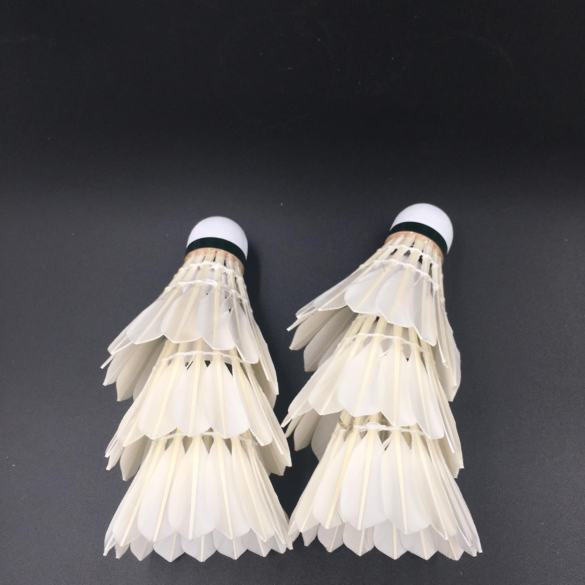A Large Number Of Wholesale Cheap Practice Badminton Shuttlecock