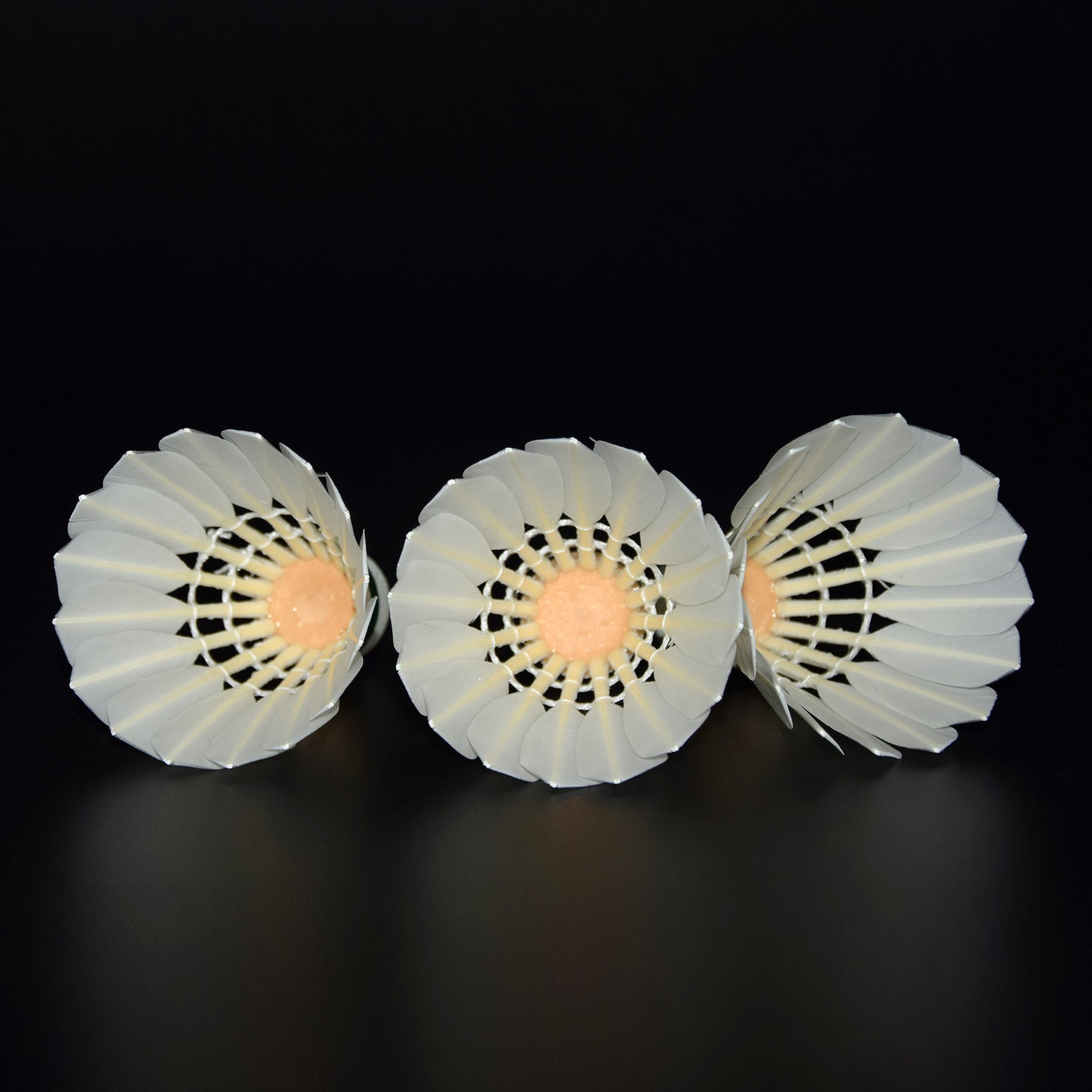 Shuttlecocks Durable Thick Natural Cork Badminton Shuttlecock Goose Feather For Advanced Club Players