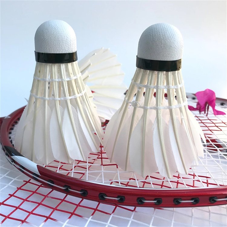 Tournament Goose Feather Shuttle Cock Best Badminton Shuttlecock for Game