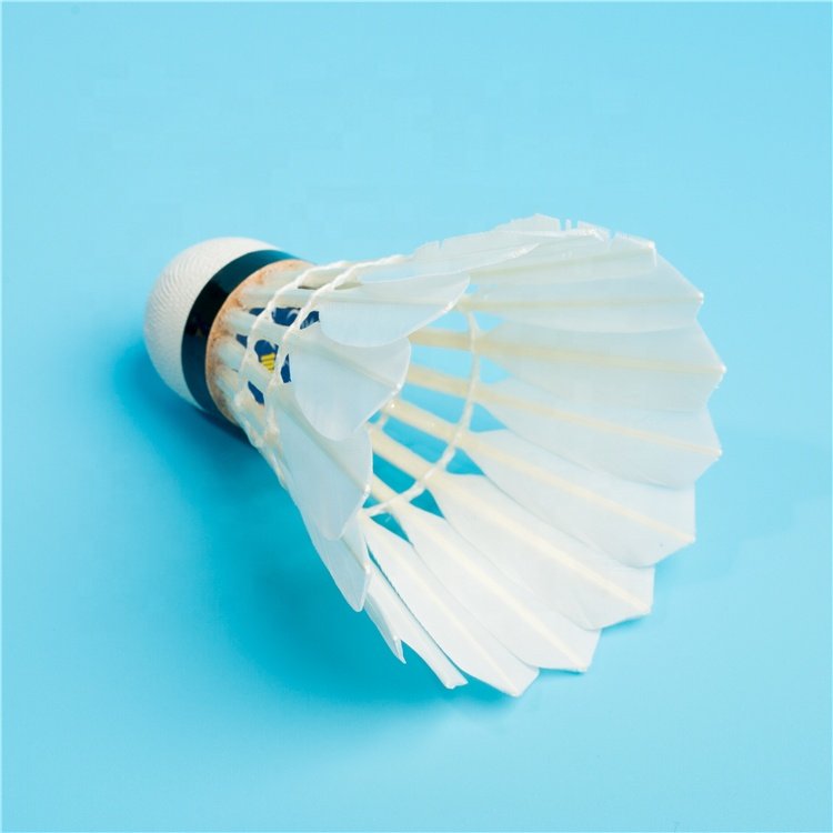 TCX1000 Shuttlecock Water Duck Feather Shuttlecock Durable Shuttlecock Sell Good in India