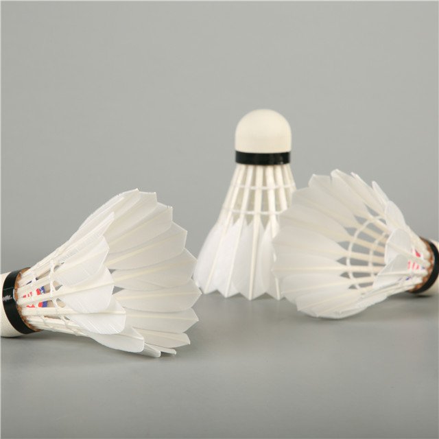 Goose Feather Badminton Shuttlecock AS 30 Shuttle Cock