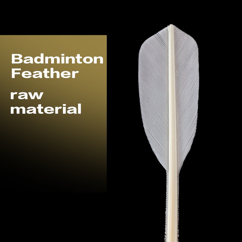 OEM Full round Goose Feather Badminton Shuttlecocks Training Sport Equipment with Large Export Volume Support