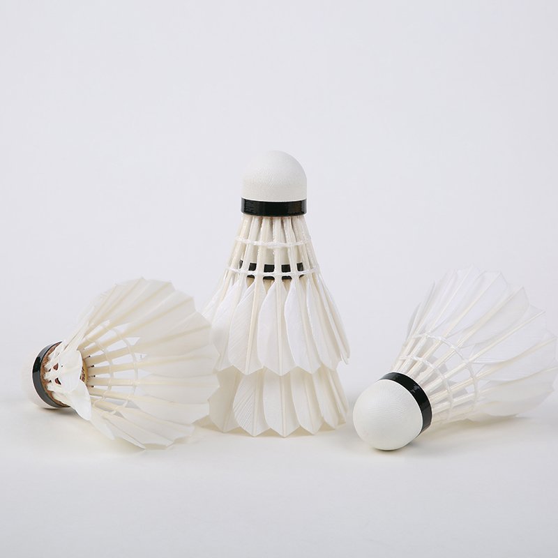 Ashaway Quality Goose Feather Badminton Shuttlecock as Lining A+100