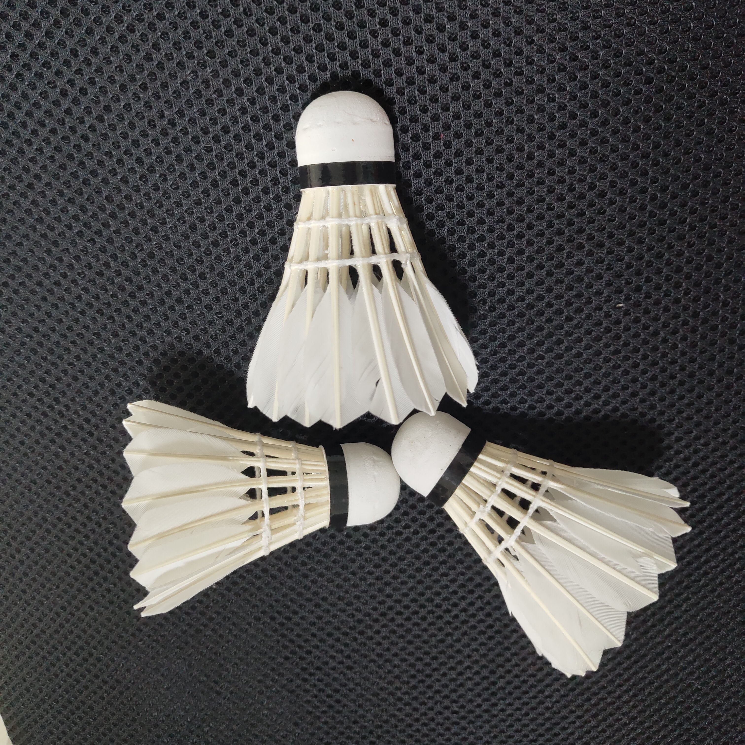 Hot Selling Shuttlecock 12PCS White Outdoor Indoor Training Sports Shuttlecock Goose Feather Shuttlecock