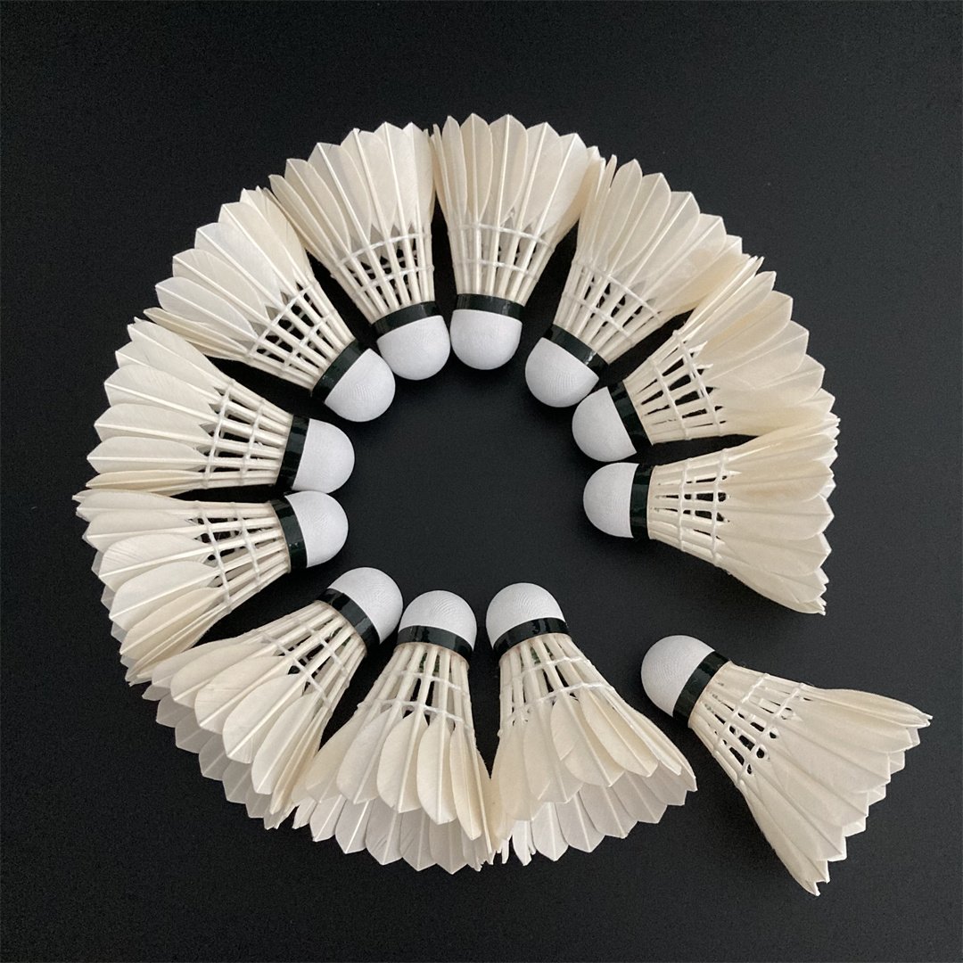 G4 Durable Badminton Shuttlecocks for Training
