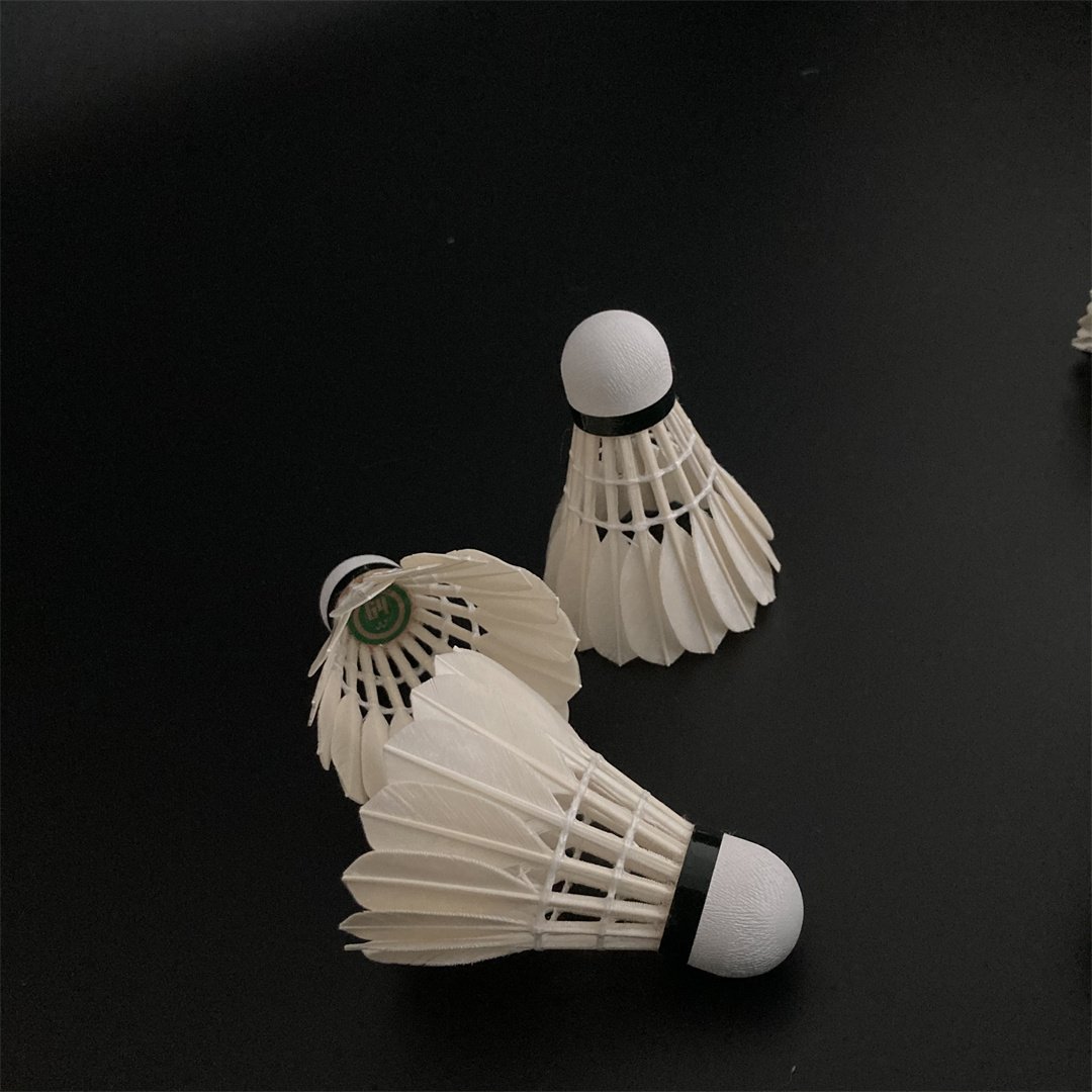 G4 Durable Badminton Shuttlecocks for Training