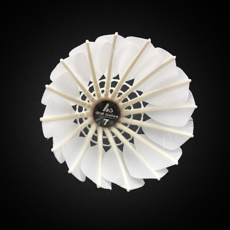 High quality wonderful outdoor sport shuttlecock goose feather training club badminton by China factory