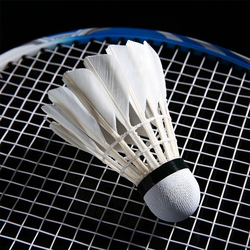 Factory Wholesale Duck Badminton Shuttlecock Training Badminton Cock Club Playing