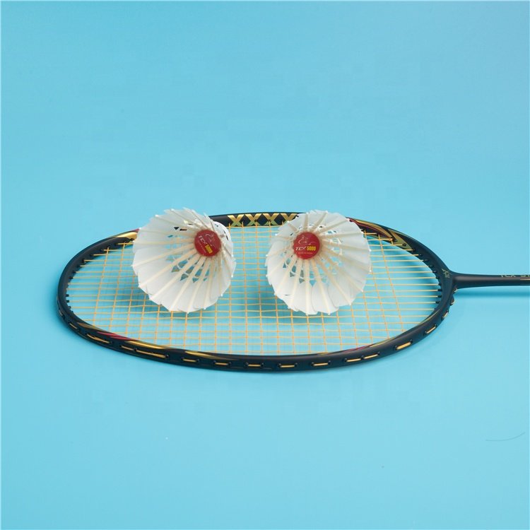 TCX-5000 Same Quality and Price as XP2 Silver Goose Feather Badminton Shuttlecock Popular in Philippines with Wholesale Price