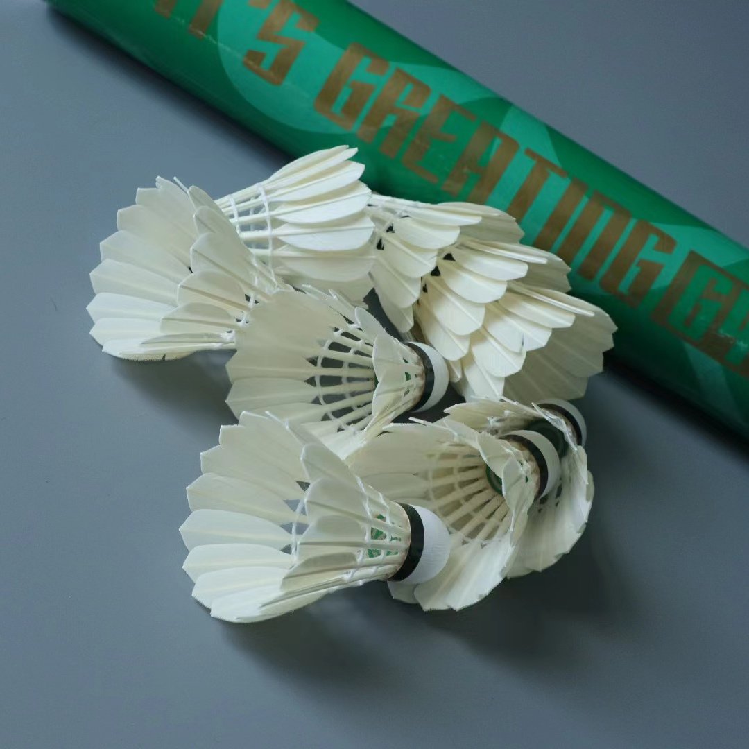 Professional Competition Price Shuttlecock G4 Badminton shuttlecocks