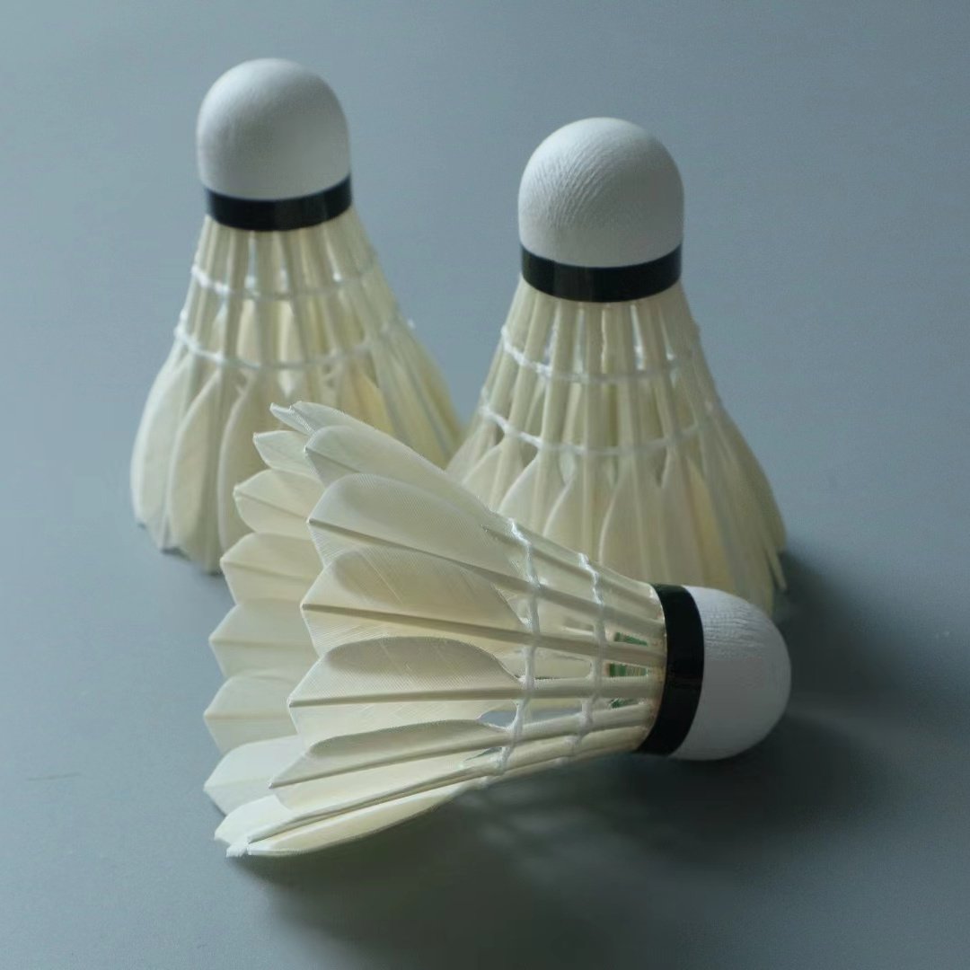 Professional Competition Price Shuttlecock G4 Badminton shuttlecocks