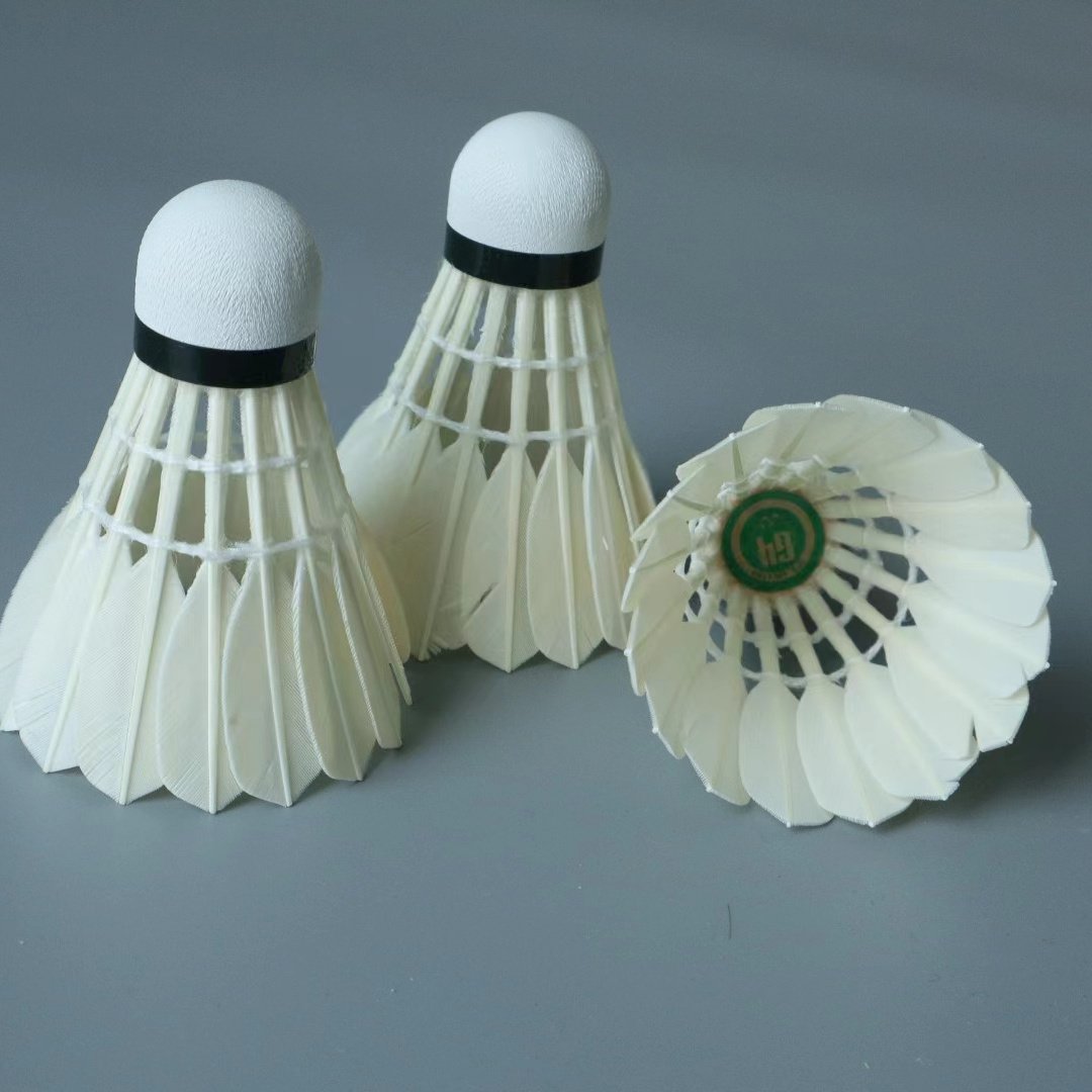 Professional Competition Price Shuttlecock G4 Badminton shuttlecocks