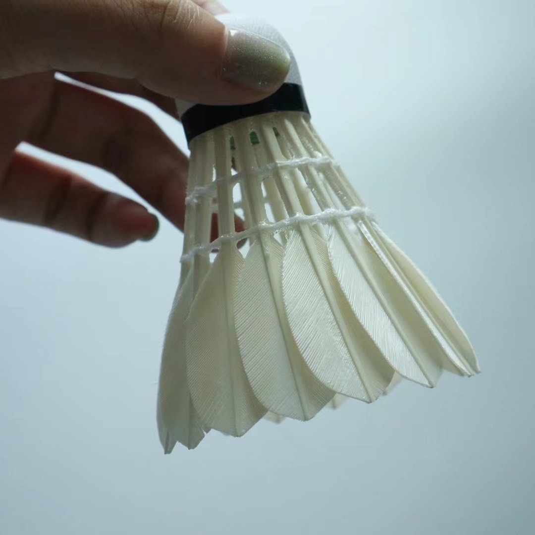 Professional Competition Price Shuttlecock G4 Badminton Suitable For Training