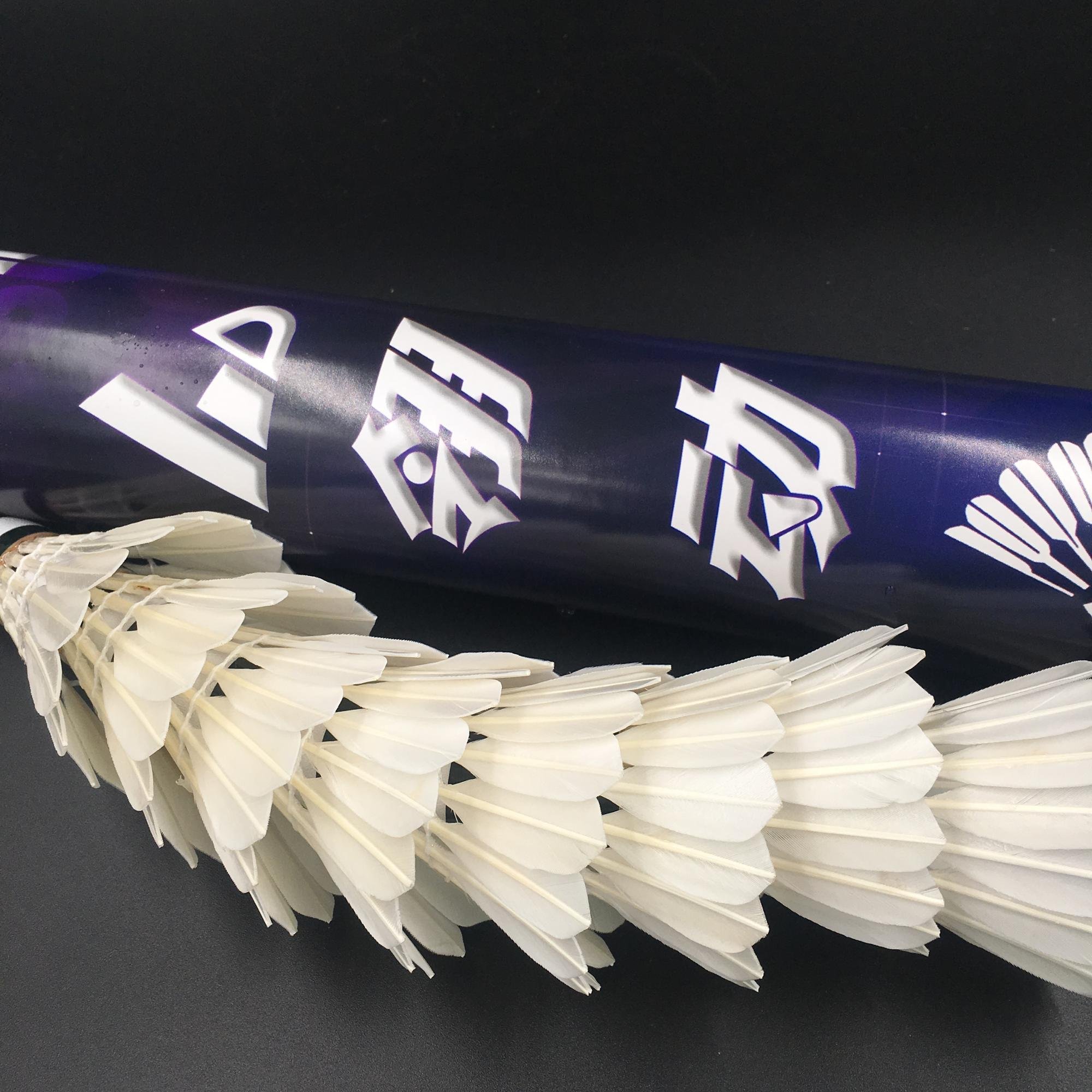 Wholesale Durable OEM Training Shuttlecock Badminton