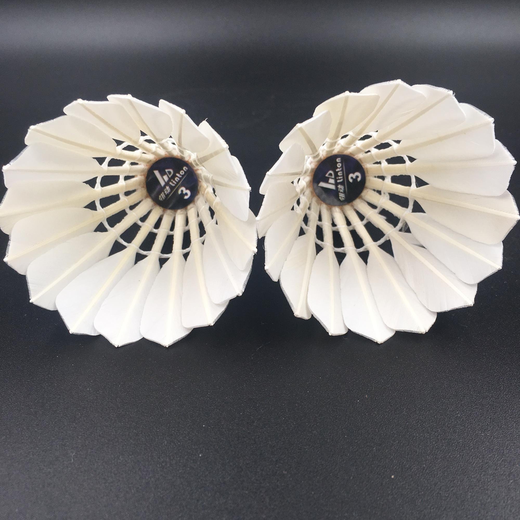 Wholesale Durable OEM Training Shuttlecock Badminton