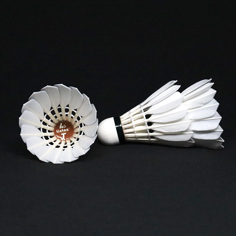 Hot Promotional International Competition Brand Badminton Ball Class A goose Feather Badminton Shuttlecock For Training