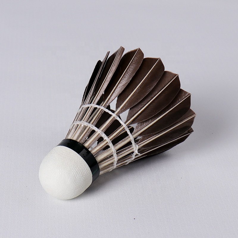 High Quality 12-piece Goose Feather Honkoo Black Training Tournament Wholesale Aeroplane Badminton Shuttlecock