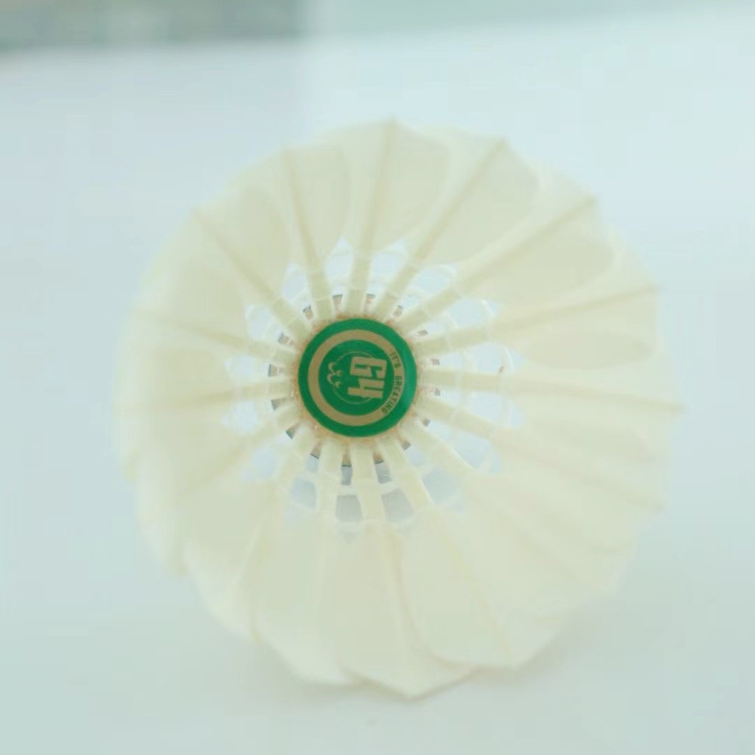 Class C all round Goose feathers badminton shuttlecock for professional training
