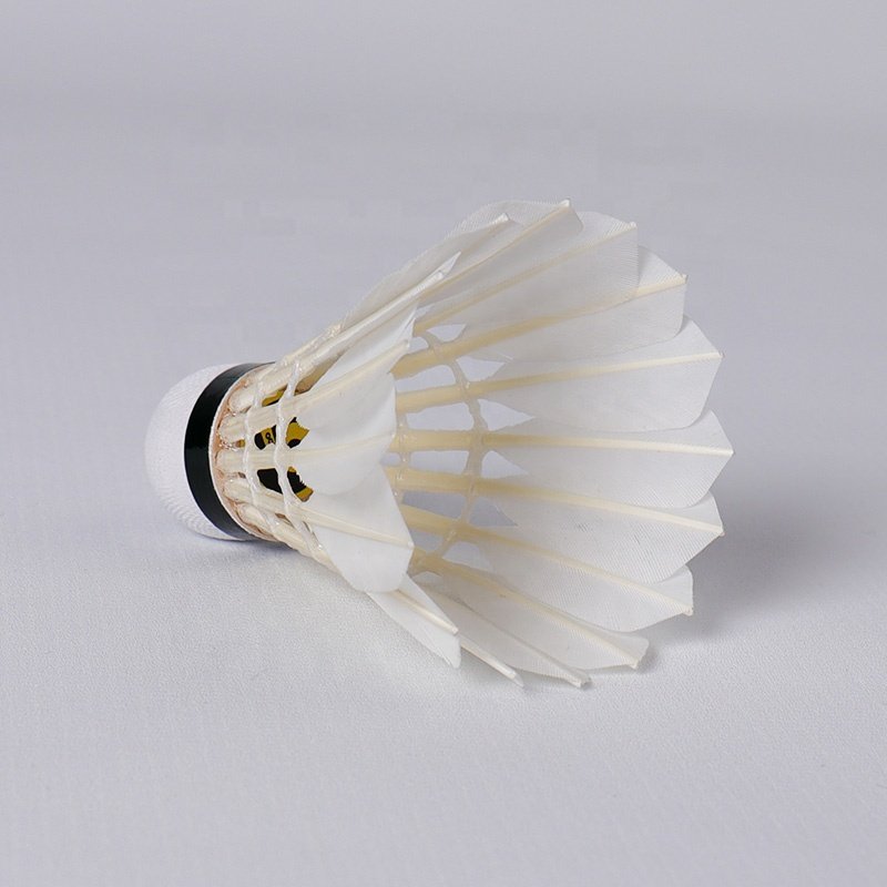 Sale Class A Straighten Goose Feather China Honkoo-06 Aeroplane Speed 74-79 12pcs Badminton Tube Shuttlecock For Training