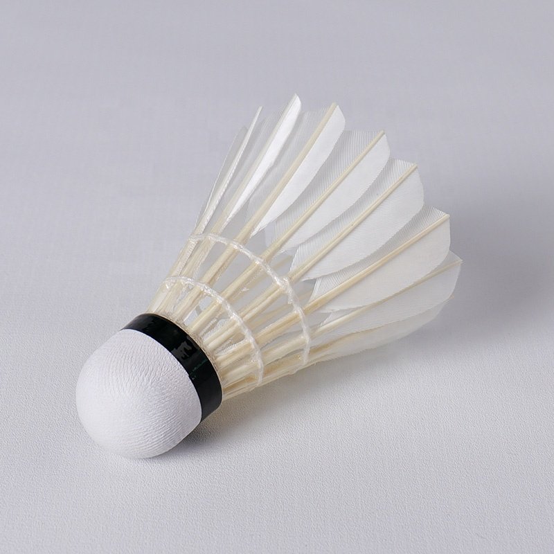 Sale Class A Straighten Goose Feather China Honkoo-06 Aeroplane Speed 74-79 12pcs Badminton Tube Shuttlecock For Training